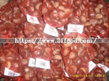 New Crop Fresh Chestnut (30-40, 40-50, 40-60)
