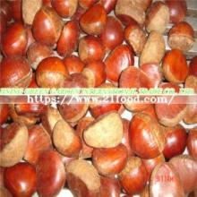 Fresh New Taishan Crop Tasty Chestnut