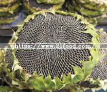 Traditional Snack Food Sunflower Seeds From Neimeng
