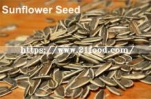 Export Quality  Chinese   Sunflower   Seeds 