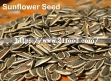 High-Qualityhot Sale Dried Hot Sale Spiced Chinese Sunflower Seeds