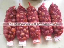 New Crop Chinese Fresh Chestnuts