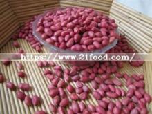 China Supplier of  Natural   Bulk  New Crop  Peanut  Kernels with Good Price