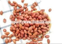 Shandong Red Skin Peanut Kernels/Groundnut