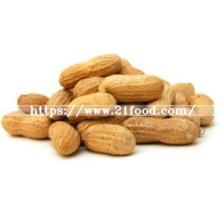 Selling Peanut with Competitive Price