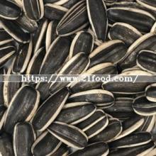 Chinese Sunflower Seeds Long Shape 270PCS/50g