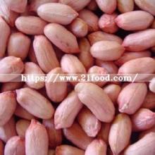  Red   Peanut   Kernels  24/28 Agriculture Food From China Supplier