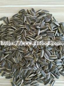 Wholesale Dried Raw Shelled Sunflower Seeds in Shell