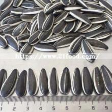 Hot Sales Dried  Sunflower   Seeds  From  China  Suppliers