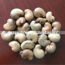 High Quality Cashew  Nut  for Sale From China
