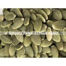 Grade AA Quality Shine Skin Pumpkin Seeds