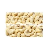 Top Quality Natural Raw and Dried Roasted Cashew Nuts