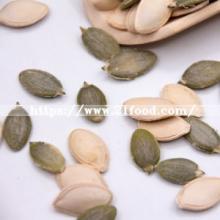 Pumpkin Seeds Wholesale Snow White Pumpkin Seeds