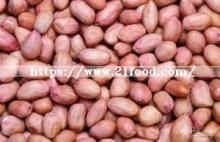 China  Peanut  Groundnut  Kernel s Organic  Red   Skin   Peanut   Kernel 