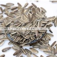 Chinese Best Price Wholesale Sunflower Seeds