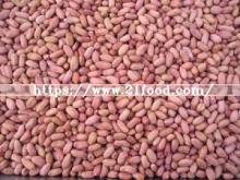 High Quality New  Crop   Peanut  Kernel