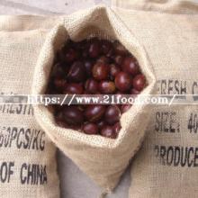 10kg/ Gunny   Bag  Top Quality Chestnut