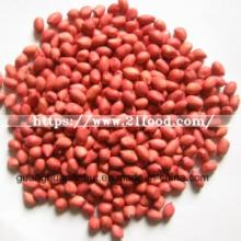 Best Quality and New Crop Red Skin Peanut Kernels