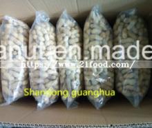 Hot Sale Roasted Peanut in Shell New Crop