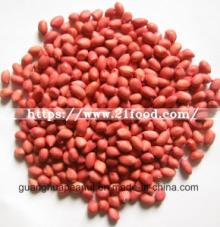 Best Quality Red Skin Peanut Kernels