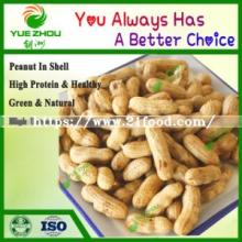 New Crop Good Quality  Raw   Peanuts  in  Shell  From China