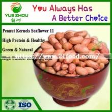 Natural Seaflower 11 Peanut Raw Peanuts Kernels for Sale with Price