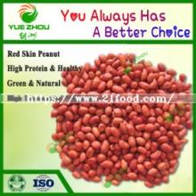 Organic Red Skin Peanut 38/42 Raw Peanuts Kernels for Sale with Price