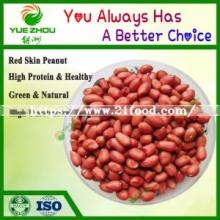 Red Skin Peanut Raw Peanuts Kernels for Sale with Price