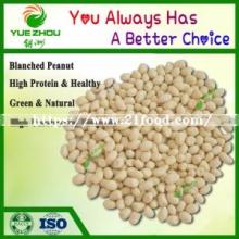 China  New   Blanched   Peanut  for Sale with Cheap Price