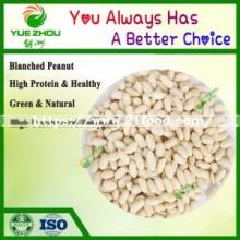 New Blanched Peanut Kernels 35/39 with High Quality