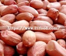 Long and Round Type Chinese Raw Red Skin Peanut Kernel