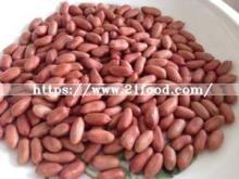 Wholesale Bulk Red Skin Peanut Kernel