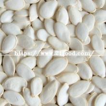 China Export High Quality Roasted Pumpkin Seeds Price for Sale