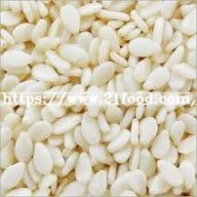 Hot Selling Roasted White Sesame