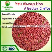 50/60 Red Skin Peanuts Kernerls with 25kg Vacuum Bag Packing