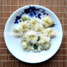 White Chrysanthemum