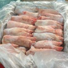 Buy frozen pork trimming 80/20 and Pork Feet seller