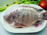 Whole Round Frozen Fram Raised Tilapia