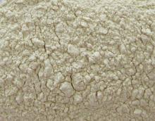 GARLIC POWDER