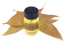  bay   leaf  oil