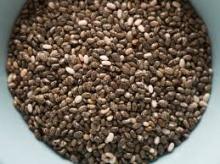chia seed