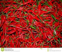 FRESH CHILLI