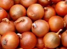 China Fresh Onion Export