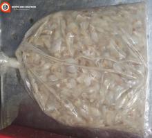 Frozen  Leather   Jacket  Fish Export
