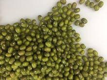 Green mung beans