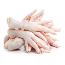 HIGH QUALITY HALAL GRADE A BRAZILIAN FROZEN WHOLE CHICKEN BEST PRICE