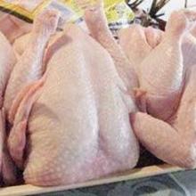  Brazilian  Quality  Halal  Frozen Whole  Chicken  and Parts, Gizzards , Thighs , Feet, Paws, Drumsticks