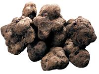 Precious Black Truffle (Tuber Melanosporum Vitt.) - Alba Piedmont Italy