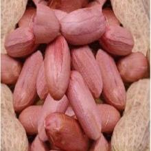  Peanuts ,  Raw   Peanuts , Roasted  Peanuts 