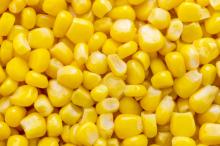 Premium Yellow Corn